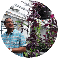 Professor Kamal Mohamed in Shineman greenhouse Professor Kamal Mohamed in Shineman greenhouse