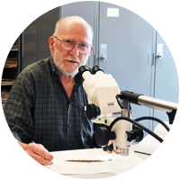 Andrew Nelson examining plant specimens in the Herbarium