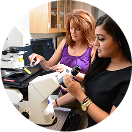 Student and professor analyzing Zeiss microscope