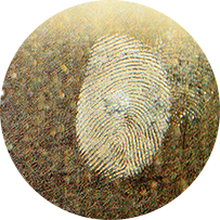 Fingerprint on glass