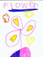 Flower drawing Flower drawing