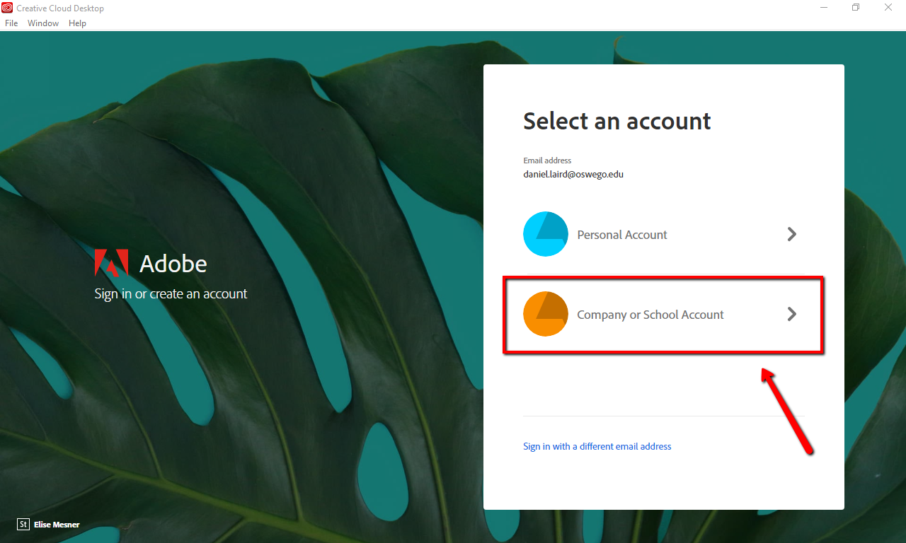 adobe select an account type screen, with company or school option higlighted