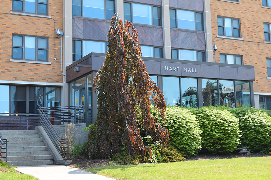 Hart Hall