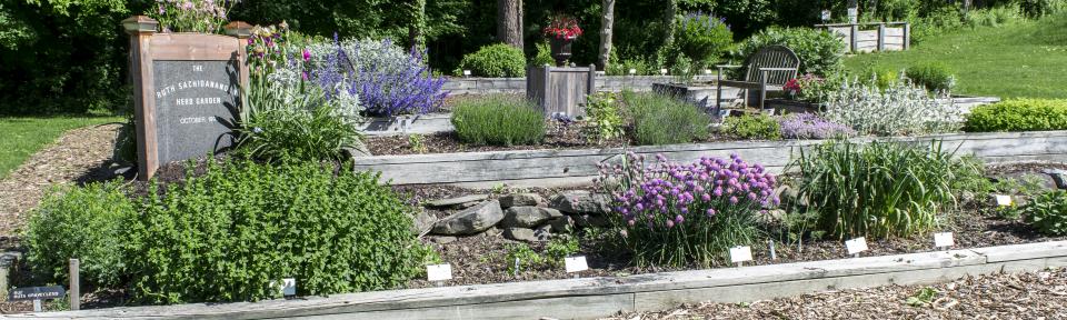 Herb Garden