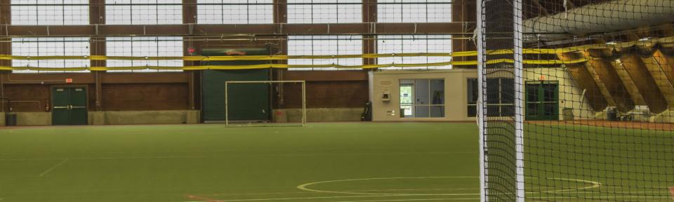 Romney Indoor Turf