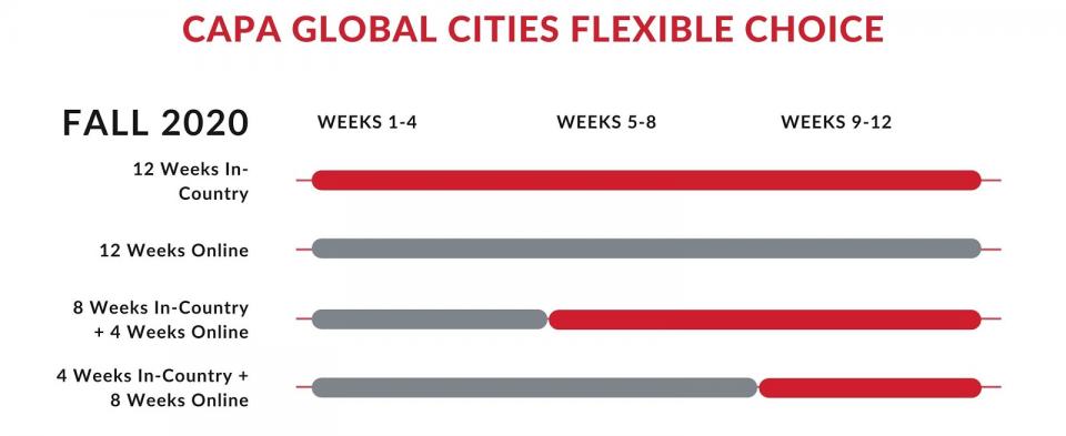 CAPA Flexible Choice Graphic