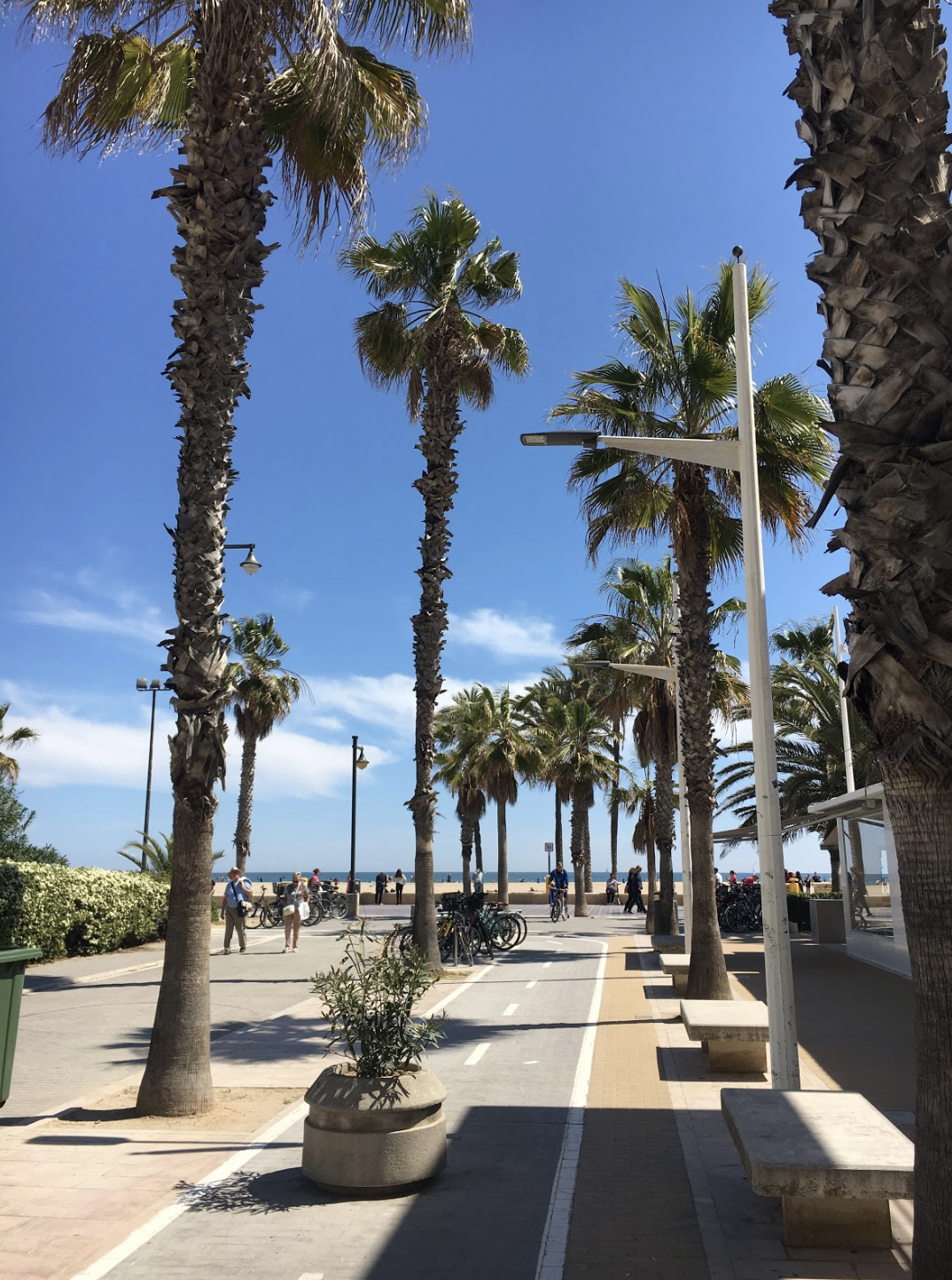 beach spain