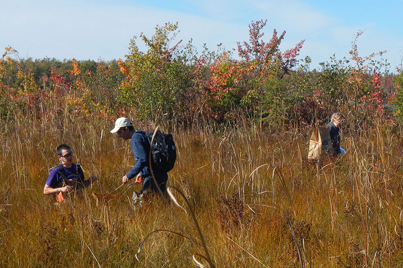 Students doing fieldwork