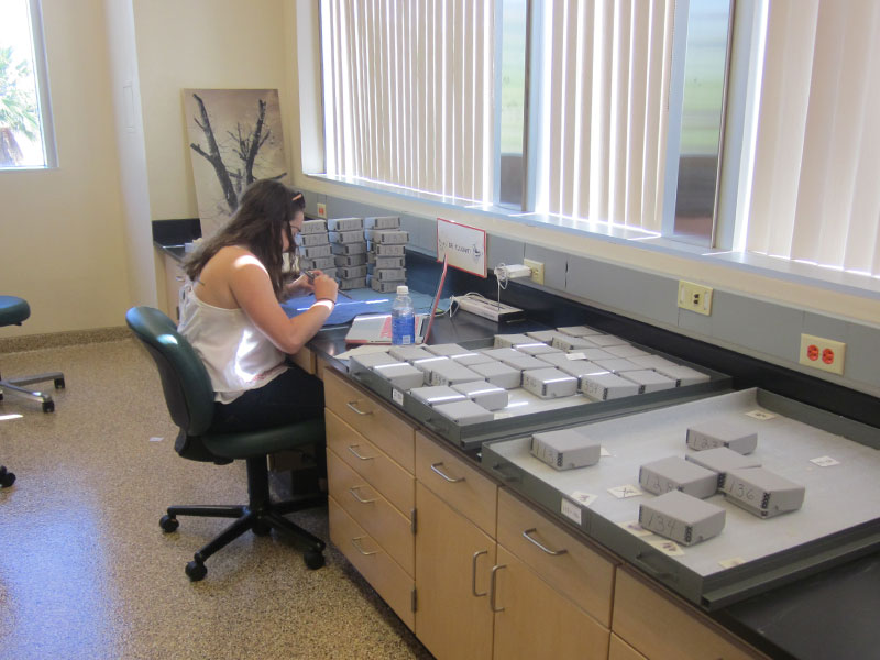 Hallie Gaffney studying artifacts