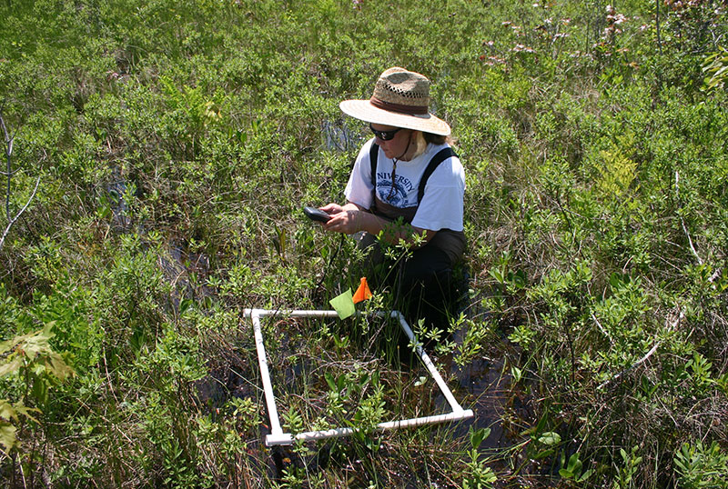 Karen Sime doing field research