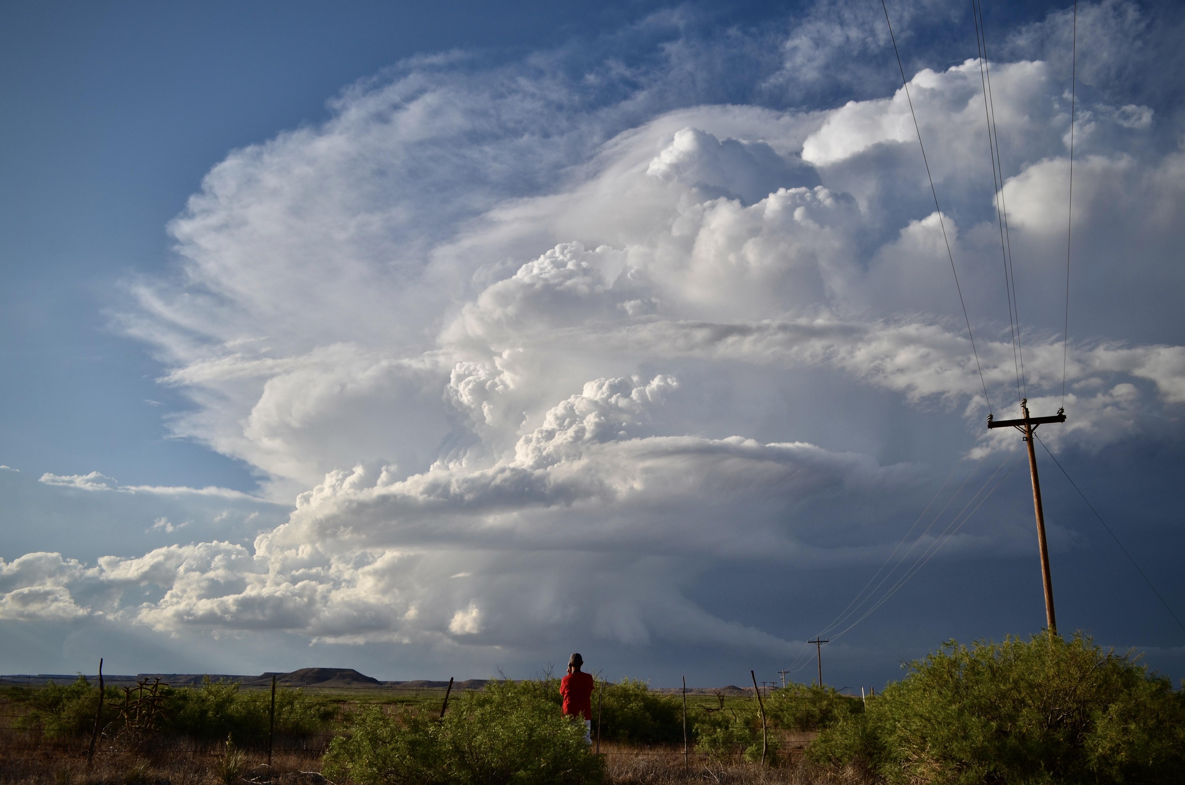 An Oswego Chaser standing below a storm cloud in the distance.