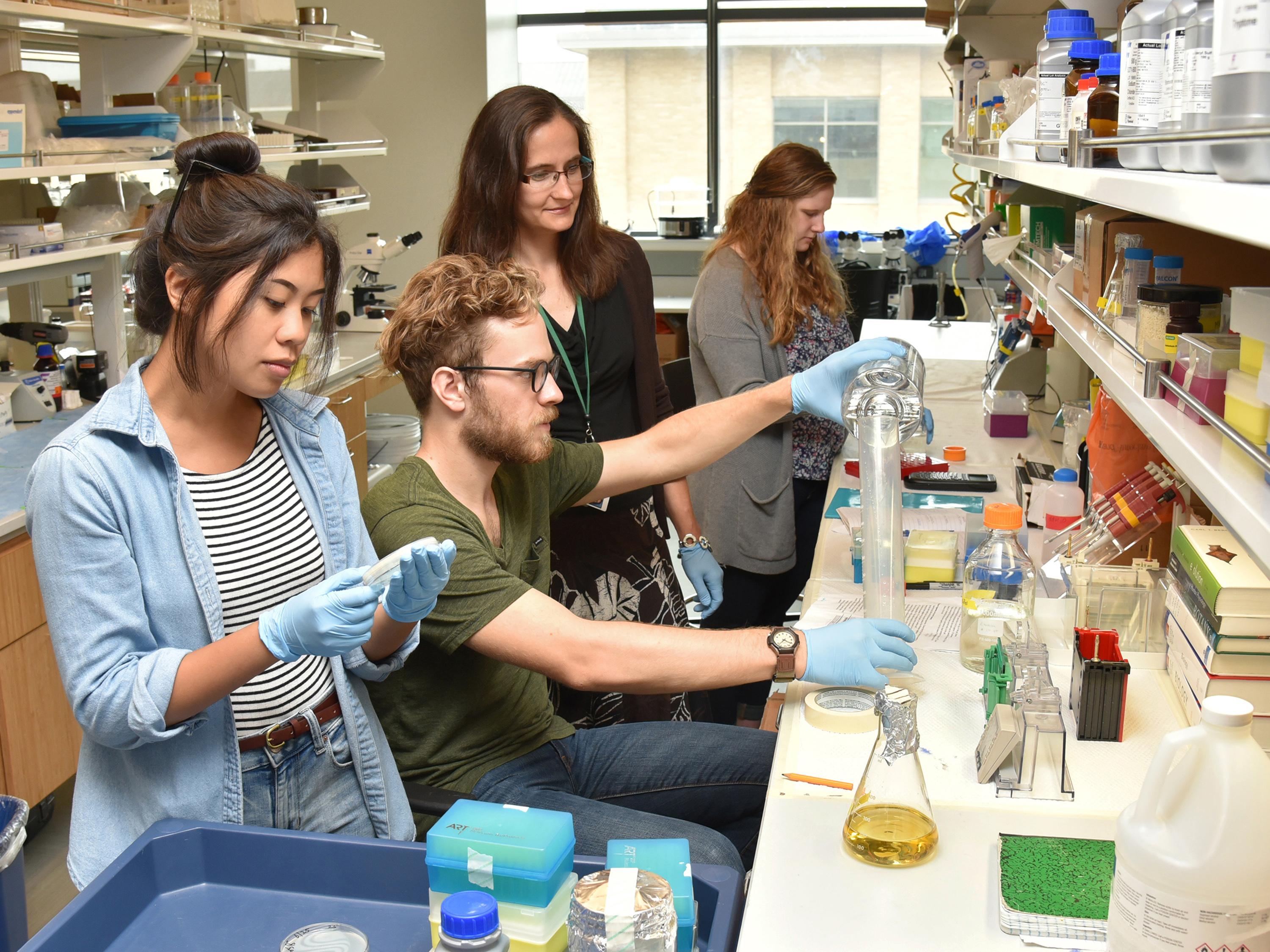 Students work with faculty mentor in a biology lab