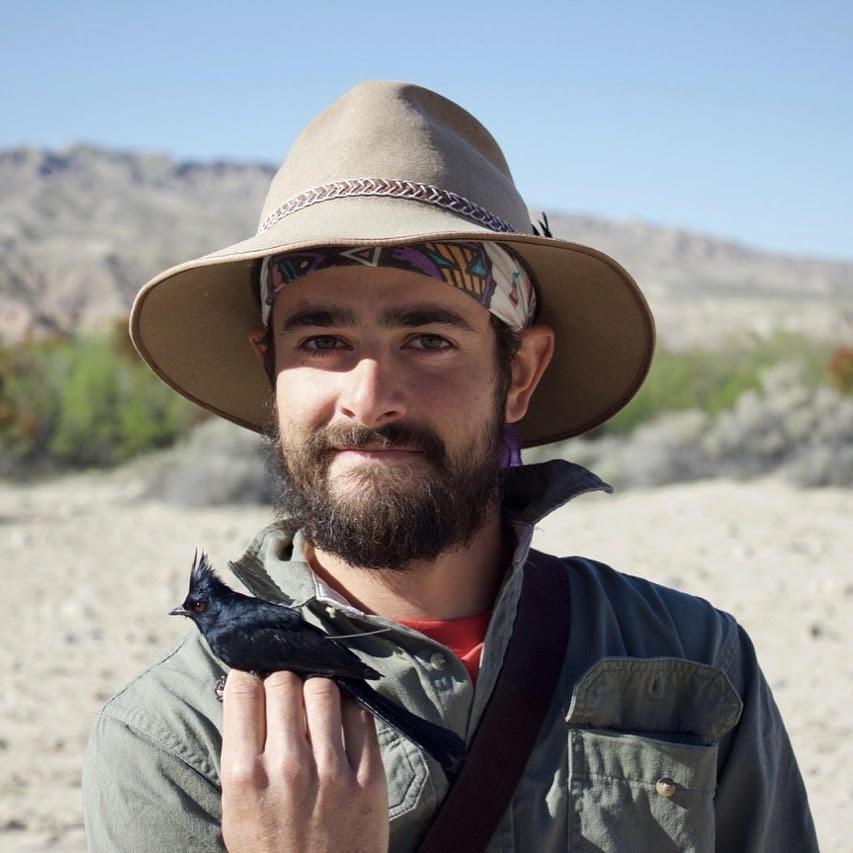 Dan Baladassare holding a phainopepla, a breed of bird that is gothic black and looks like a cardinal