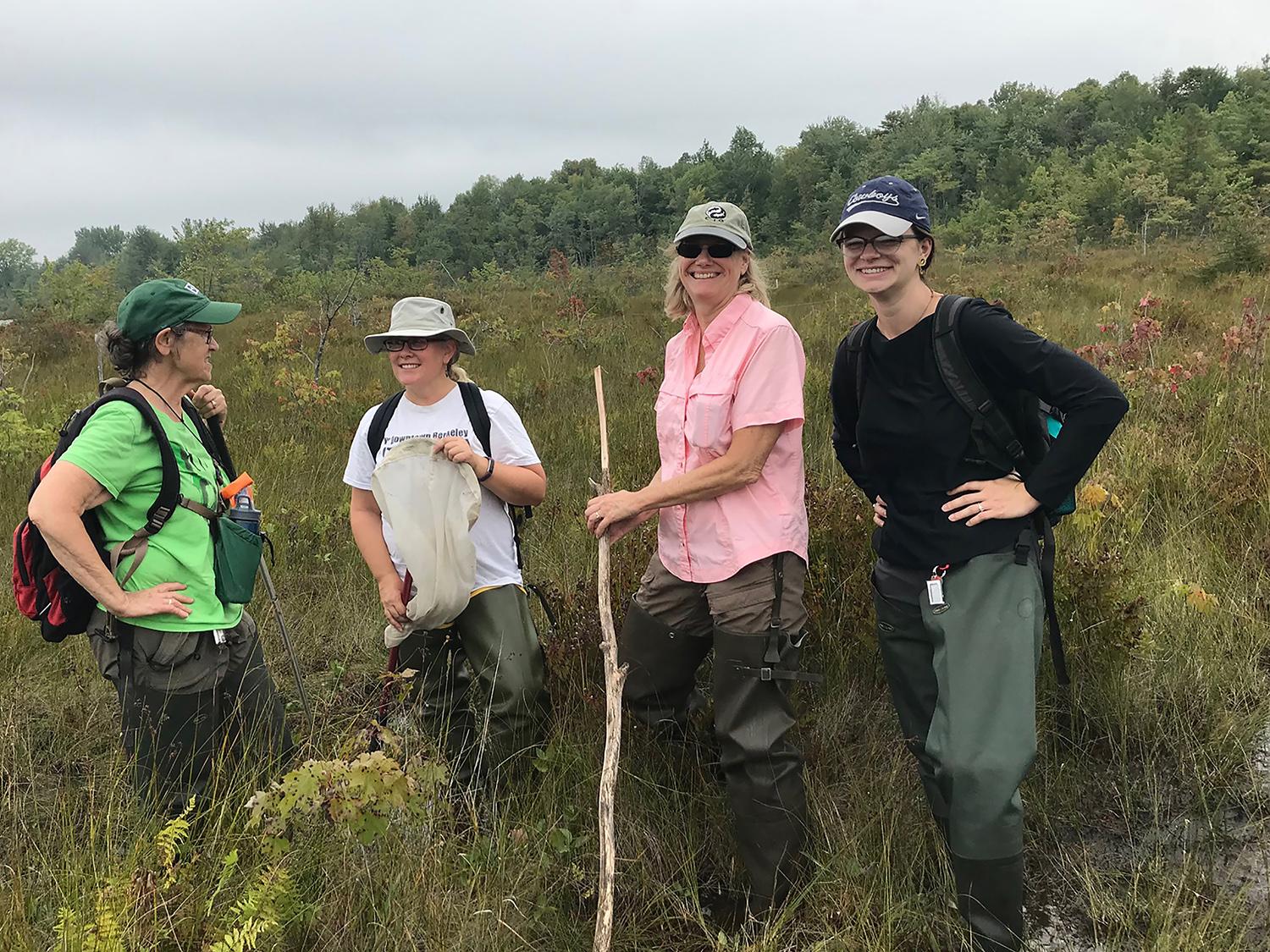 Scientists working in a wetland