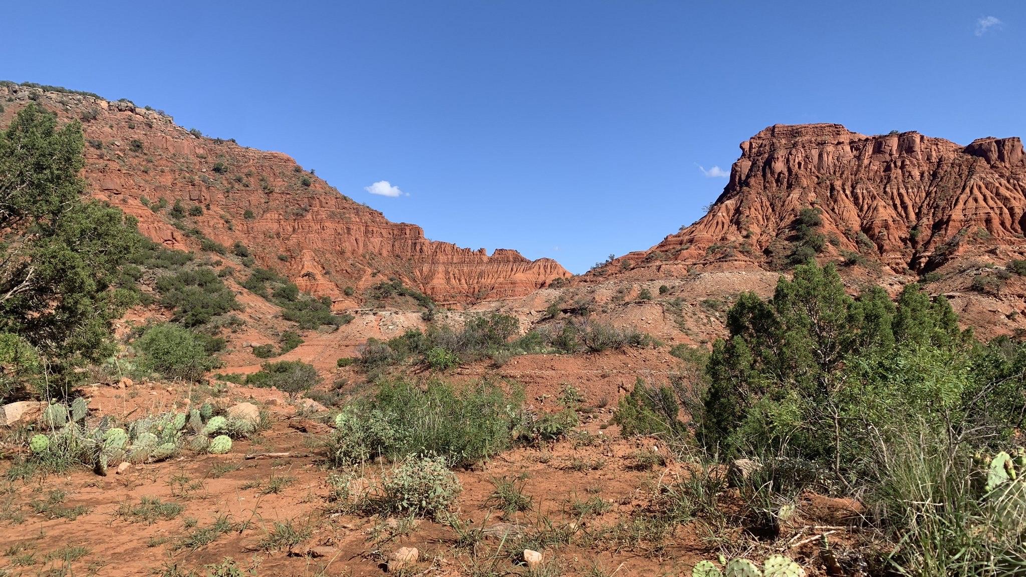 Canyons and cacti in the Texas Panhandle.