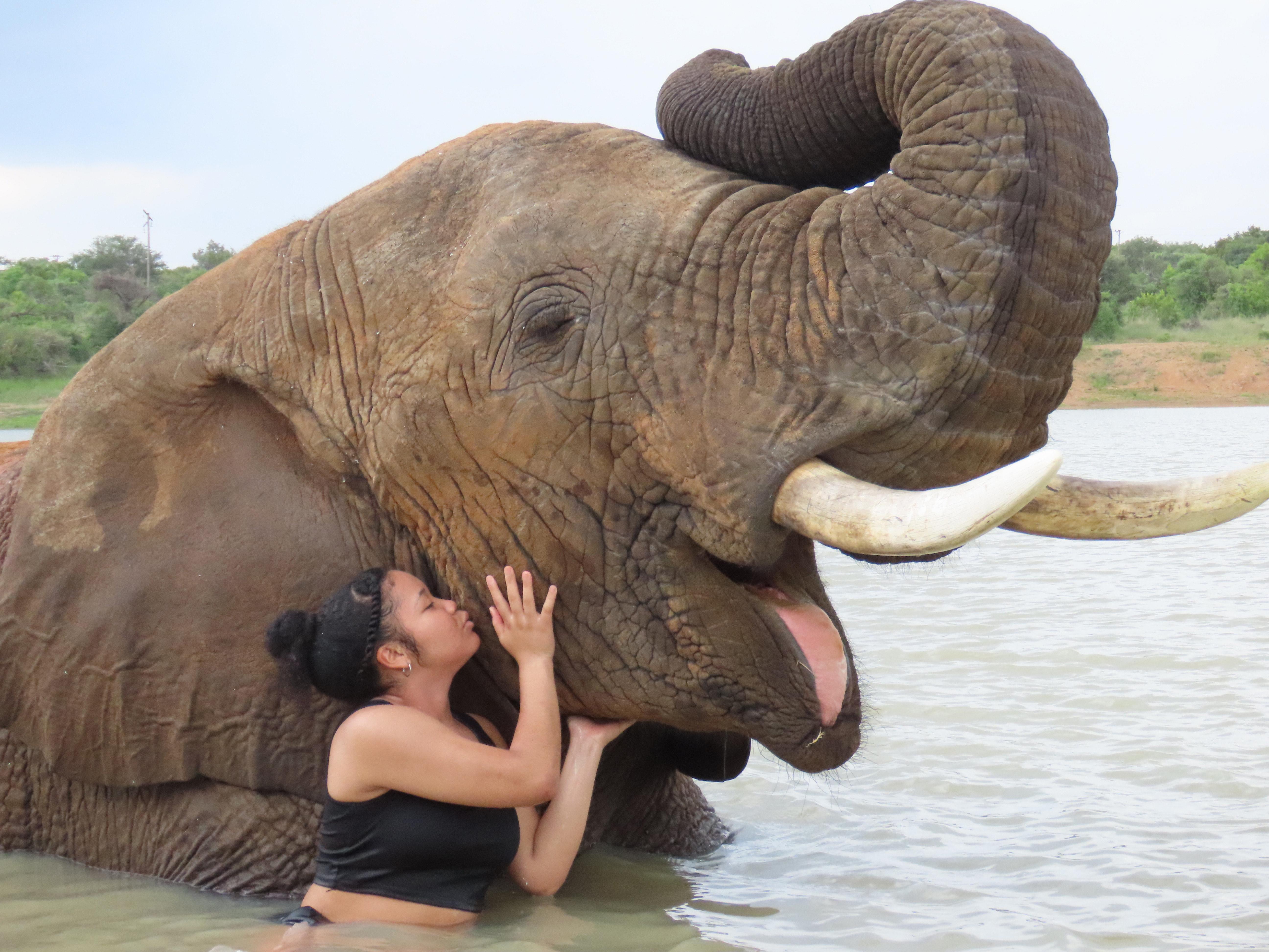 Joy McClinton makes friends with an elephant during a South Africa study-abroad journey