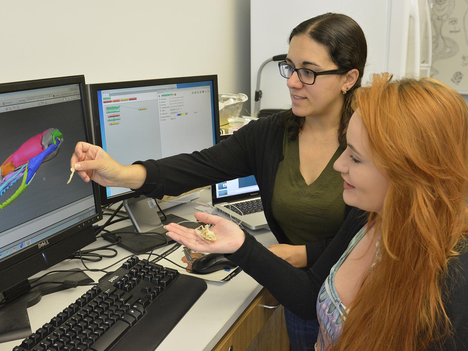 Jennifer Olori and Meghan Gillen observe computer model of animal skull