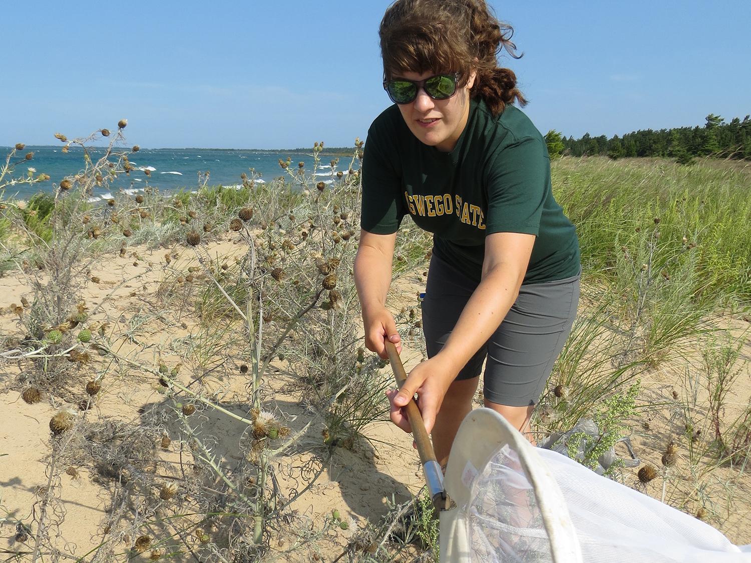 Stephanie Facchine working with rare, threatened Pitcher's thistle plants