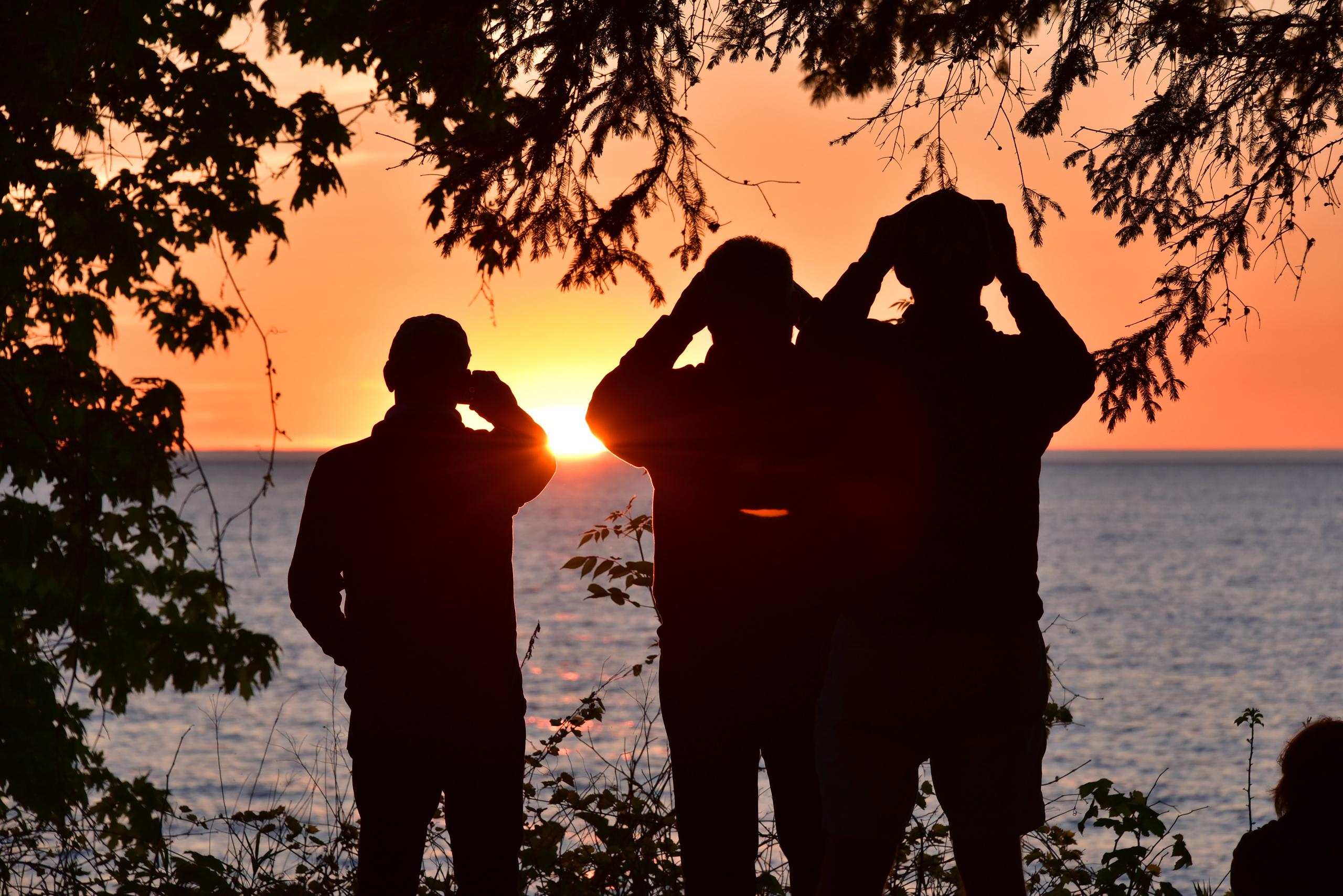 Alumni check out a gorgeous sunset over Lake Ontario