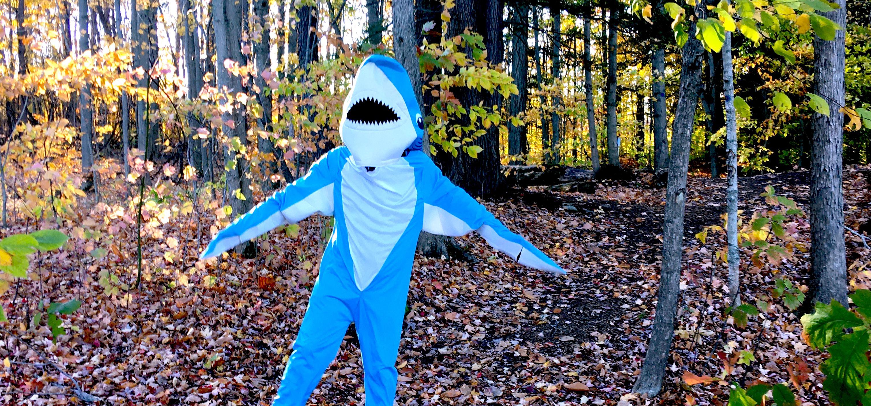 A shark -- or perhaps a human in a shark costume -- stands along a Rice Creek field station trail