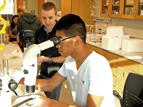Faculty-student research opportunities abound at Oswego