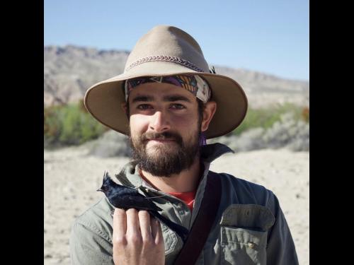 Dan Baladassare holding a phainopepla, a breed of bird that is gothic black and looks like a cardinal