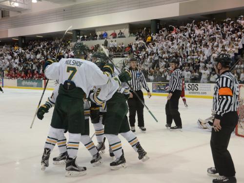 Men's hockey players celebrate goal