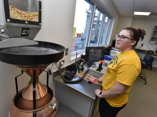 Student lab employee Lindsay Fluman checks samples imported into the new grain lab, a partnership between the Port of Oswego Authority and SUNY Oswego