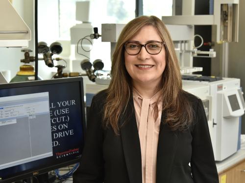 Shown in a chemistry lab, chemistry faculty member Shokouh Haddadi recently earned the campus Provost’s Award for Mentoring in Scholarly and Creative Activity for leading students to academic, research and career success.