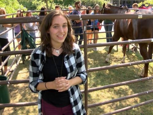 Student Involvement Fair offers many opportunities