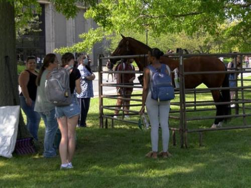 Student Involvement Fair 2021