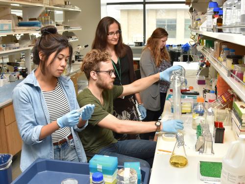 Yulia Artemenko works on a grant-funded research project with students