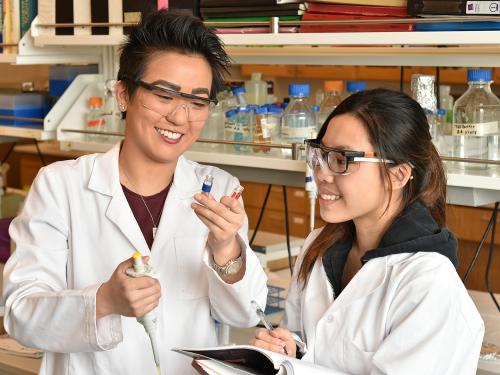 Students in a biochemistry lab researching disease-stress relationship