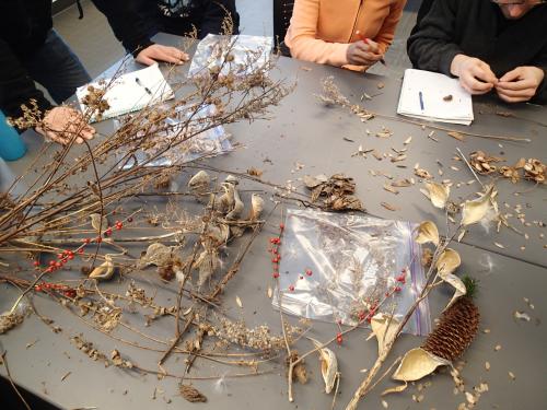A table holds some collected plants and people taking notes