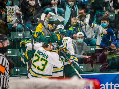 Laker men's hockey players celebrate a goal in front of happy home fans