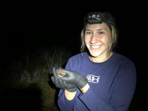 SUNY Oswego 2018 zoology graduate Gabrielle Solomon, shown here working on a current conservation project in Hawaii