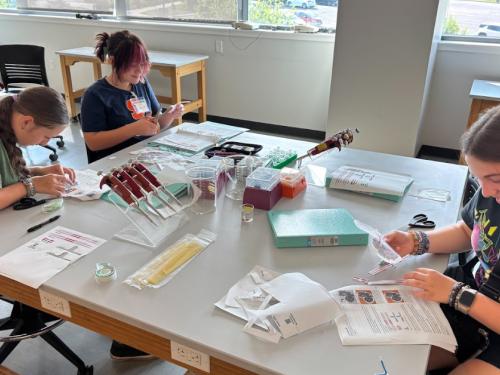 Students participate in a previous edition of Sheldon Institute
