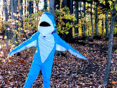 A shark -- or perhaps a human in a shark costume -- stands along a Rice Creek field station trail