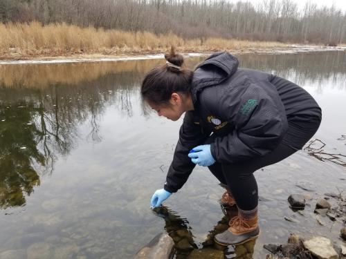 Sydney Waloven collects water samples for a research study