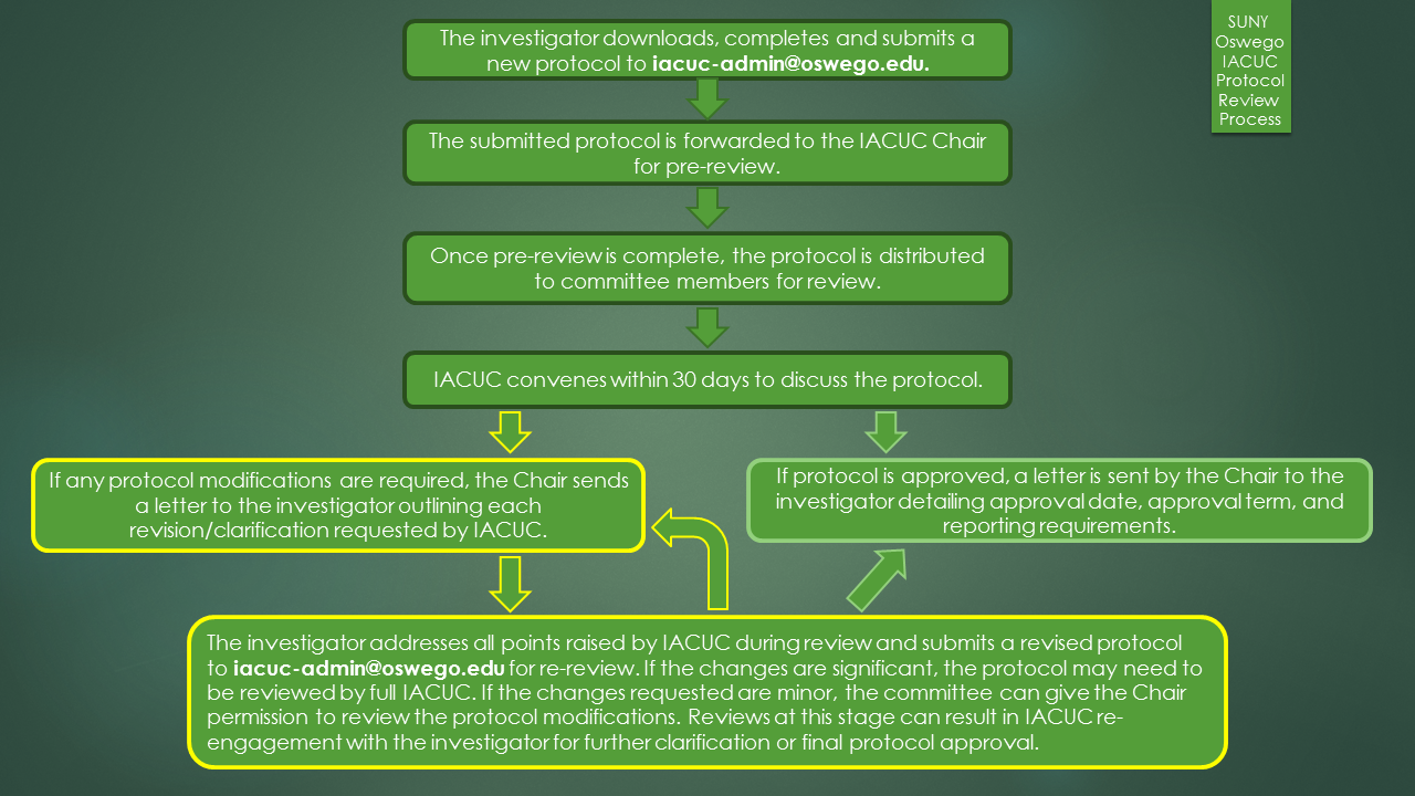 SUNY Oswego IACUC Process Flow Chart