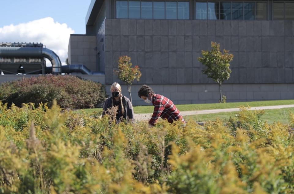 Students and staff working in the PLL