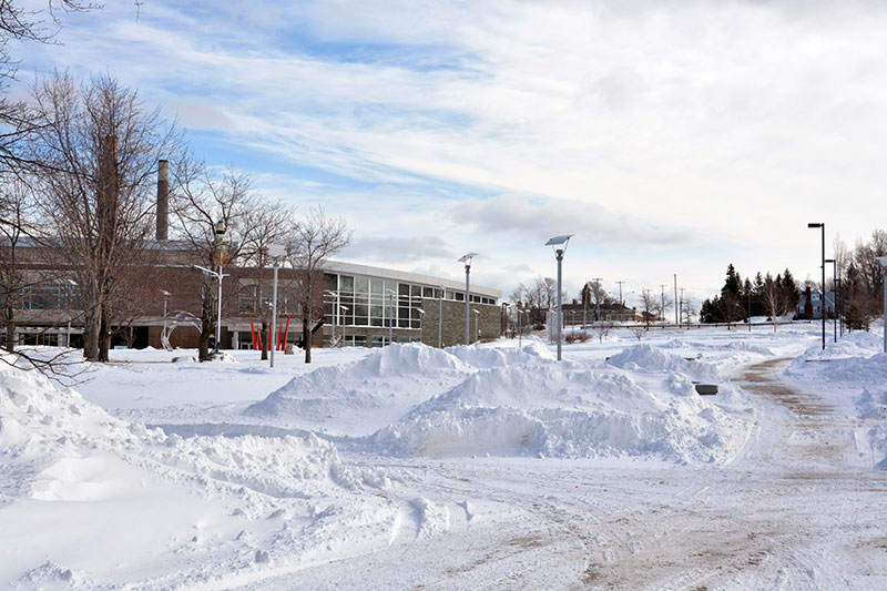 Sun shines on snowy campus