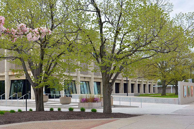 Blossoming trees in front of Tyler Hall