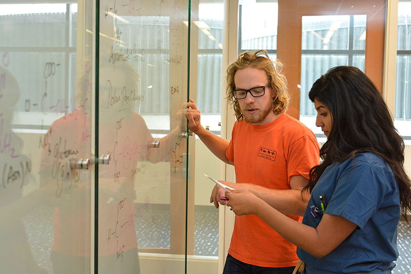 Students use glass whiteboard for biochemistry assignment