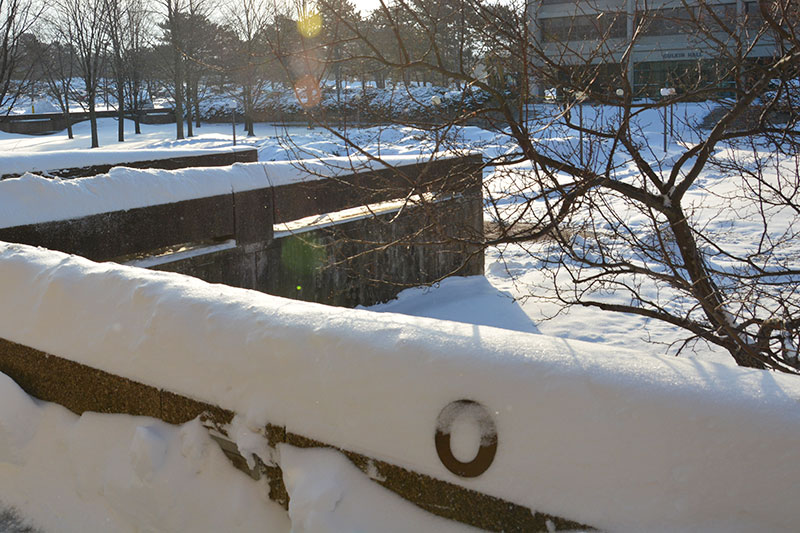 Sun shines on a campus winter scene
