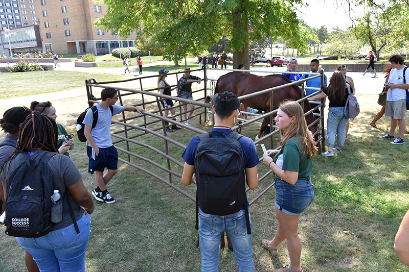 Equestrian Club with Chester the Horse in the quad