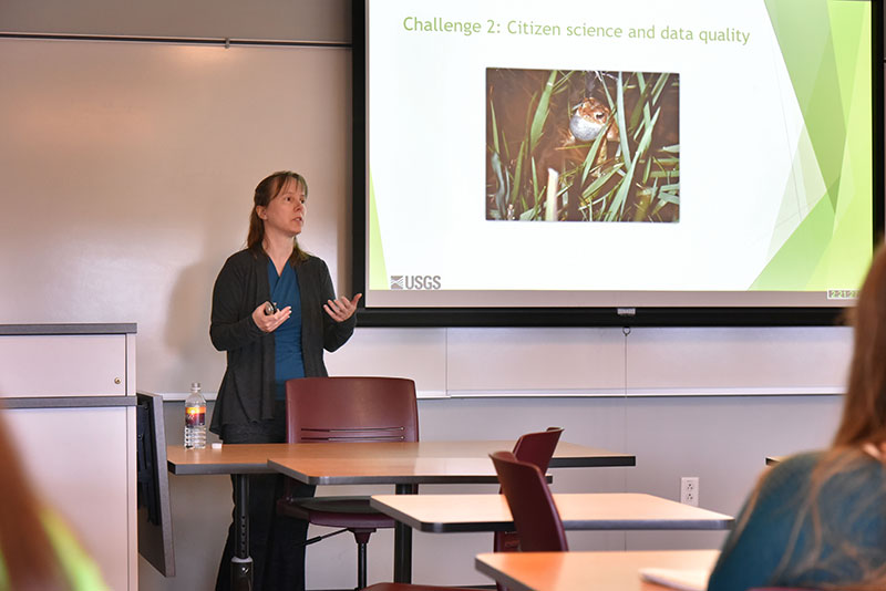 Alumna Linda Weir discusses research on migratory birds, coastal ecology and ecotoxicology