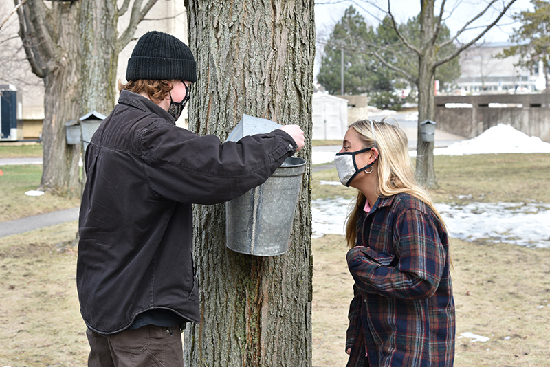 Sustainability Office interns Jackson DeClerck (left), a junior technology management major, and Sarah Smelko, a junior global studies major, both second semester juniors, tap sugar maple trees March 3 in Sheldon Park between Culkin Hall and Hewitt.