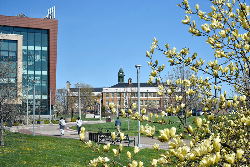 After some false starts and measurable snows, spring is in the process of finally springing, as reflected in the trees blooming near Marano Campus Center.