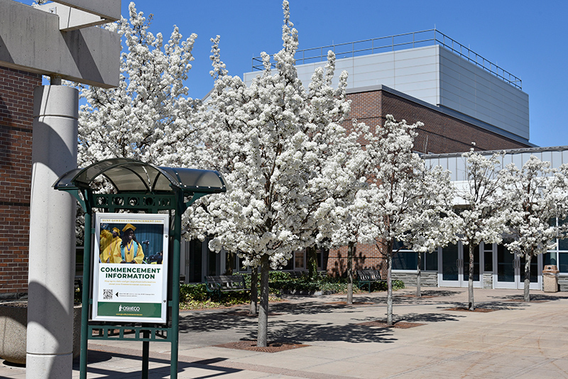 Trees bloom outside Marano Campus Center in late April, a familiar sight in time for the final weeks of classes and May Commencement ceremonies.